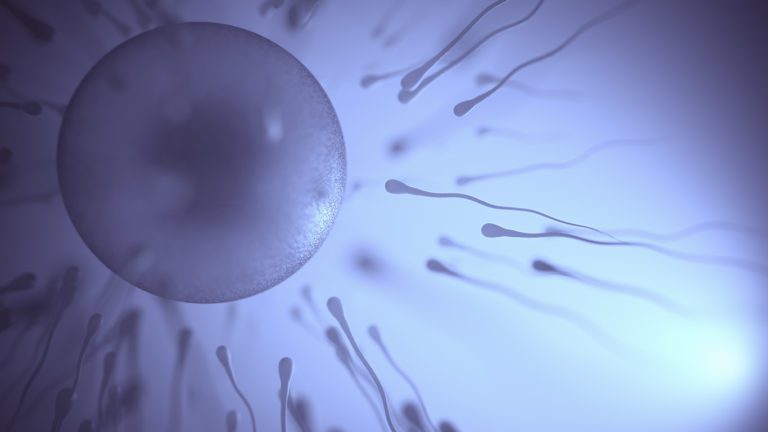 Imagem de vários espermatozoides