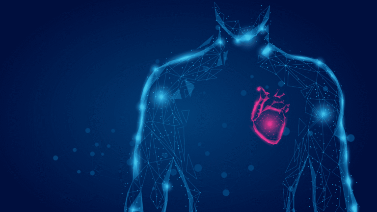 Ilustração em raio x de um coração humano, para falar de opções de tratamento para disfunção erétil em cardiopatas