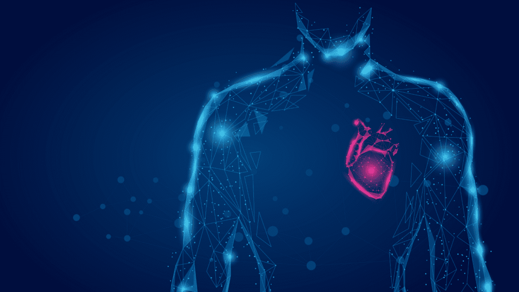 Ilustração em raio x de um coração humano, para falar de opções de tratamento para disfunção erétil em cardiopatas