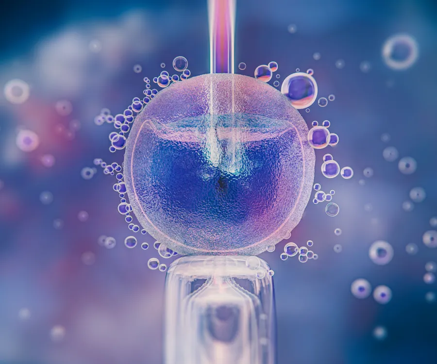 Fertilização in vitro
