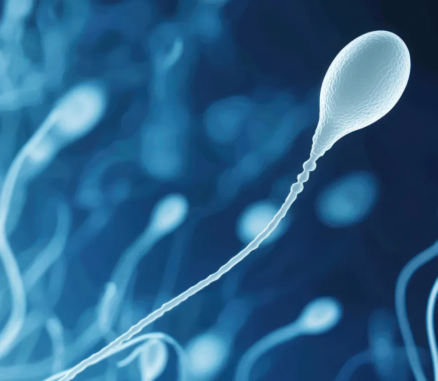 Infertilidade masculina
