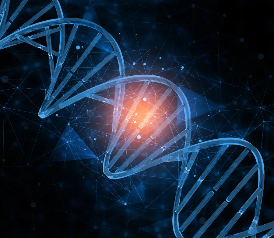 Exame de DNA para Infertilidade masculina