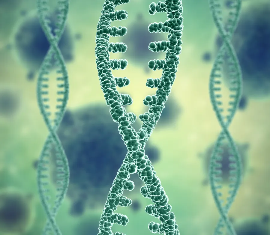 Exame de DNA para Infertilidade masculina